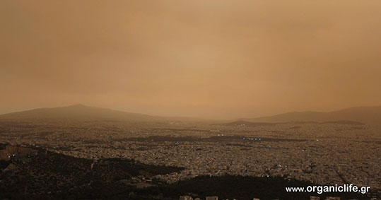 24-afrikaniki-skoni-attiki