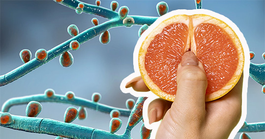 07-Trichophyton-mentagrophytes