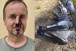 17-lathrokinigoi-zakinthos-9