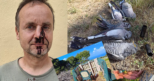 17-lathrokinigoi-zakinthos