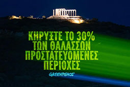 10-thalassia-parka-9