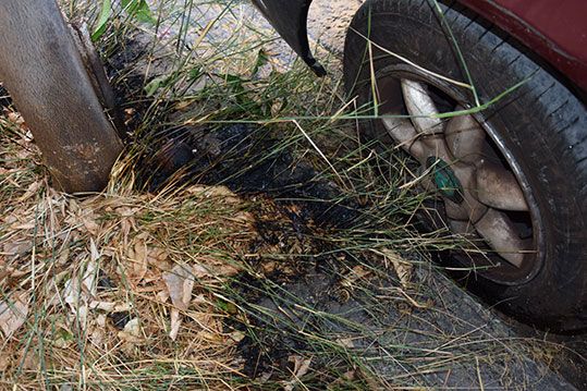 07-ebristis-petroupoli-2