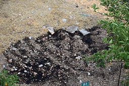 07-ebristis-petroupoli-9