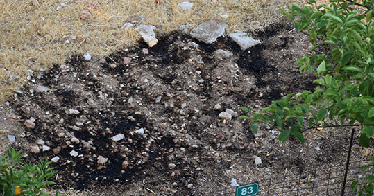 07-ebristis-petroupoli