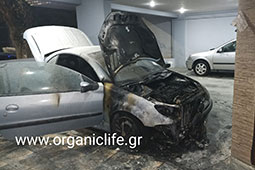 15-fotia-peristeri-blaxernas-9