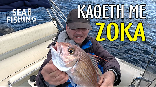 04-katheti-me-zoka