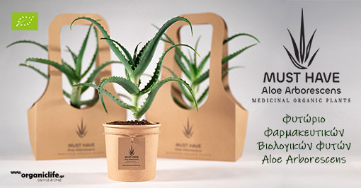 must-have-aloe