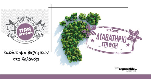 pan-agathon-katastima-b