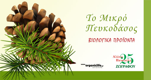 to-mikro-peukodasos-new