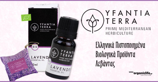 yfantia-terra-bio