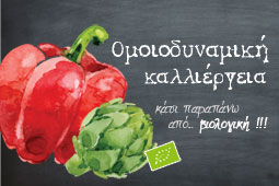 omoiodinamiki-kalliergeia-9