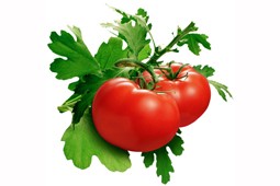 organic_tomatoes