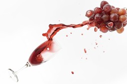 organic_wine_9
