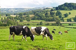 biologiki_ktinotrofia