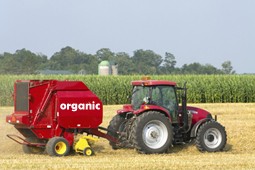 organic_9