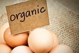 organic_9