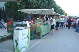 organic_thess_9