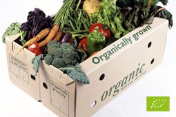 organic_9