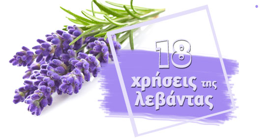 15-biologiko-elaio-levanta