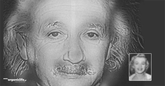 14-pos-o-ainstain-merlin