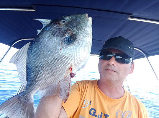 15-valistis gourounopraro