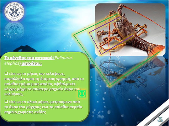 24-astakos-dieuthinsi-alieias