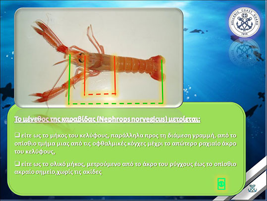 24-karabida-dieuthinsi-alieias