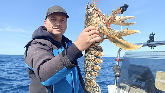 24-lobster-astakokarabida