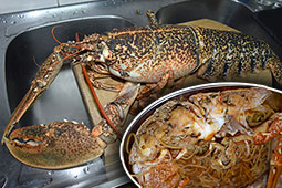 29-astakomakaronada-9