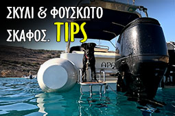 16-skilos-kai-fouskoto-skafos-9