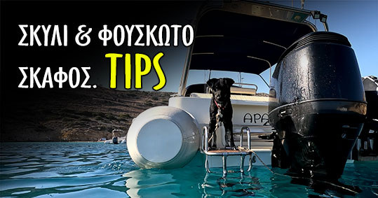 16-skilos-kai-fouskoto-skafos