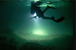 02-bradino-psarontoufeko-9