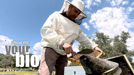 30-antonis-dimakopoulos-axion-esti