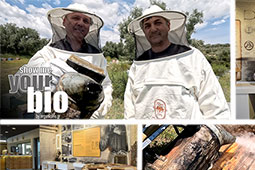 30-axion-esti---mouseio-melissokomikis-texnis-9