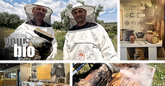 30-axion-esti---mouseio-melissokomikis-texnis