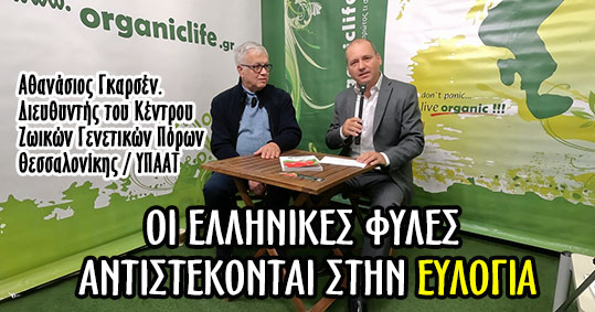 17-athanasios-garsen-eulogia-ellinikes-files