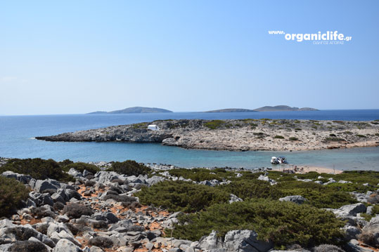 09-ag-fokas-astypalaia-2