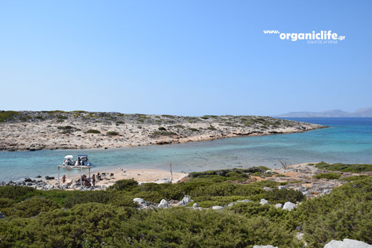 09-ag-fokas-astypalaia