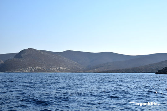 16-astypalaia-panormos-2
