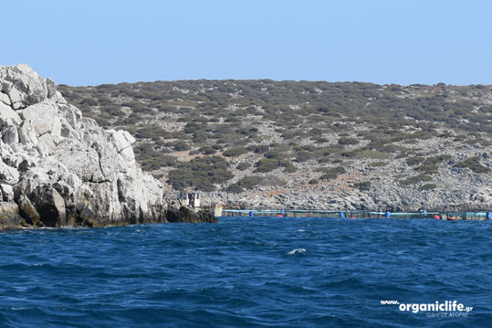 16-astypalaia-vathi-ixthiotrofeia