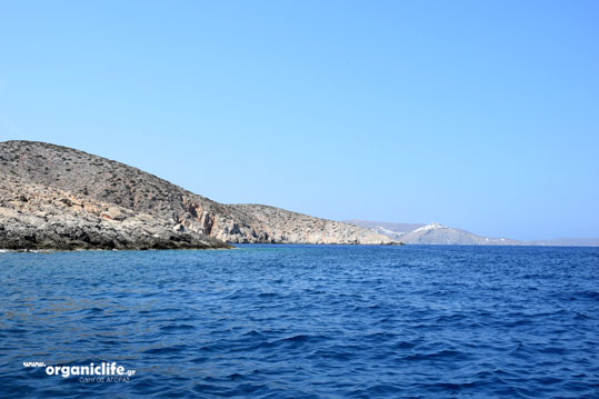 20-astypalaia-akr-chilos-3