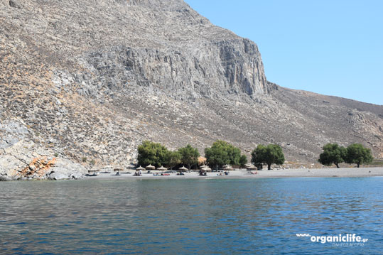 20-astypalaia-vatses