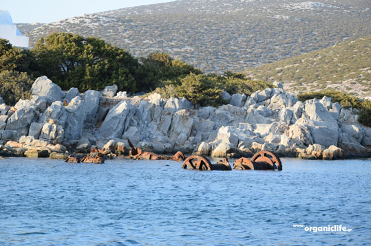 agrilidi-astypalaia-2