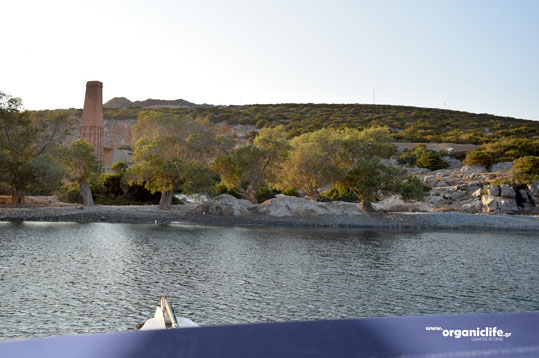 agrilidi-astypalaia-3
