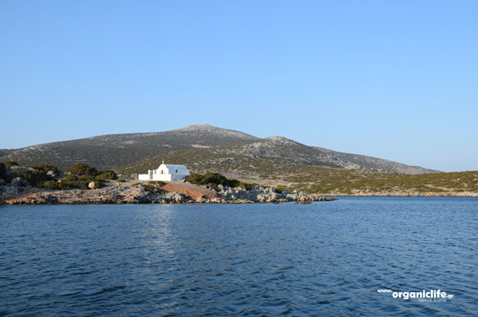 agrilidi-astypalaia