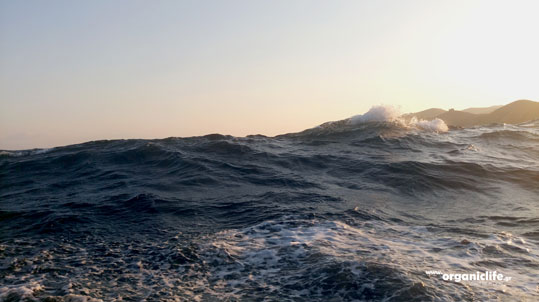 astipalea-epistrofi-2