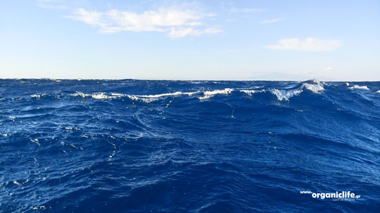 astipalea-epistrofi-3