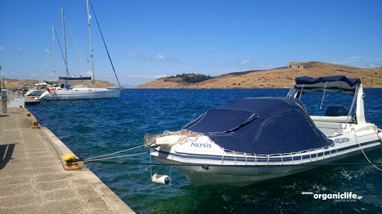 astipalea-epistrofi-tzia