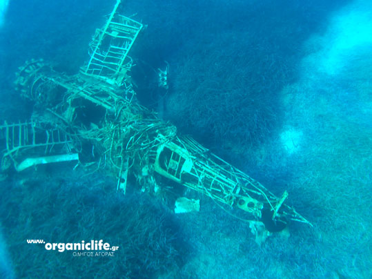 irakleia-alimia-aeroplano