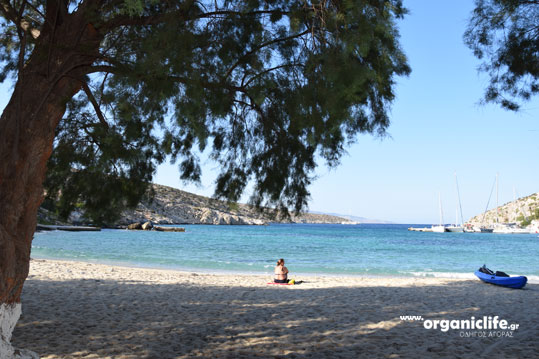 irakleia-alimia-limani-13